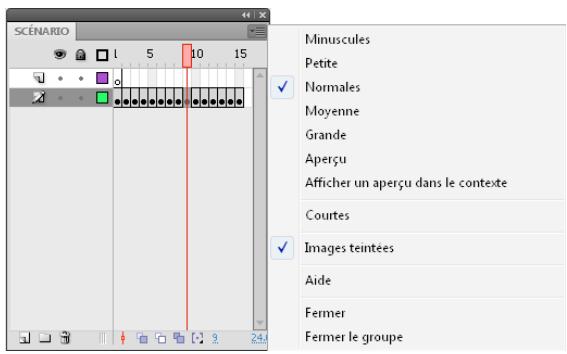 ADOBE FLASH CS4 - Changement de l'affichage des images dans le scenario - 1
