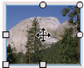 ADOBE FLASH CS4 - Transformation des replissages dégradés et de bitmap - 2