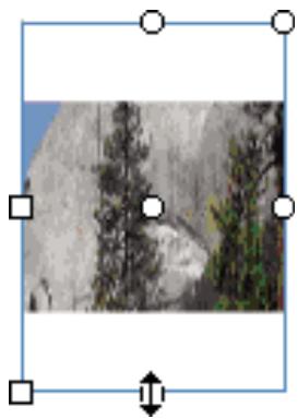 ADOBE FLASH CS4 - Transformation des replissages dégradés et de bitmap - 4