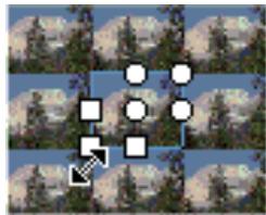 ADOBE FLASH CS4 - Transformation des replissages dégradés et de bitmap - 9