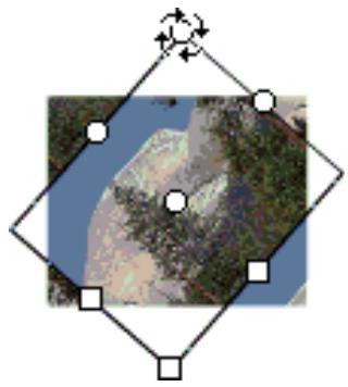 ADOBE FLASH CS4 - Transformation des replissages dégradés et de bitmap - 5