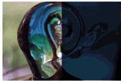 ADOBE FLASH CS4 - Exemples de mode de fondu - 4