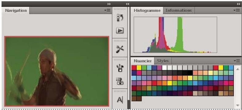 ADOBE FLASH CS4 - Ancrage et annulation d'ancrage de panneaux - 2