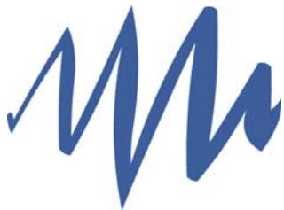 ADOBE FLASH CS4 - Peinture à l'aide de l'outil Pinceau - 1