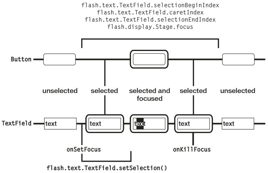 ADOBE FLASH LITE 4 - Saisie de texte en ligne - 1