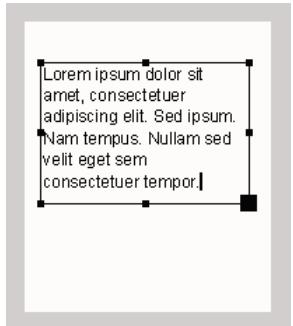 ADOBE FLASH LITE 4 - Creation d'un champ de texte défilant et contrôle à l'aide du code ActionScript - 2
