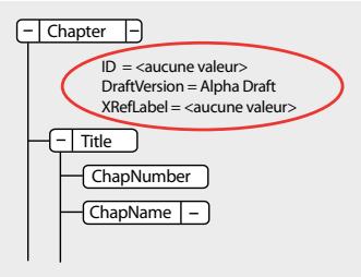 ADOBE FRAMEMAKER 10 - Affectation de valeurs d'attributs - 1