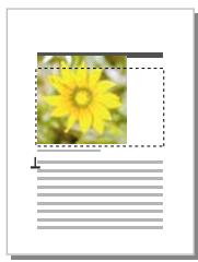 ADOBE FRAMEMAKER 10 - Insertion d'éléments graphiques importés dans des documents structurés - 1
