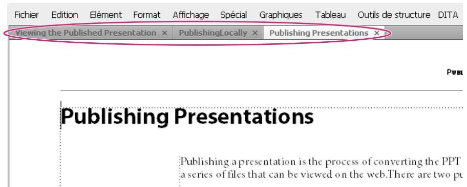 ADOBE FRAMEMAKER 10 - Documents en onglets - 1