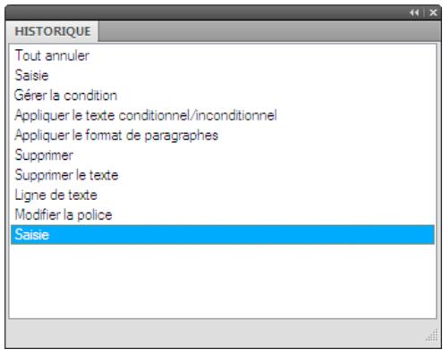 ADOBE FRAMEMAKER 11 - Panneau Historique - 1