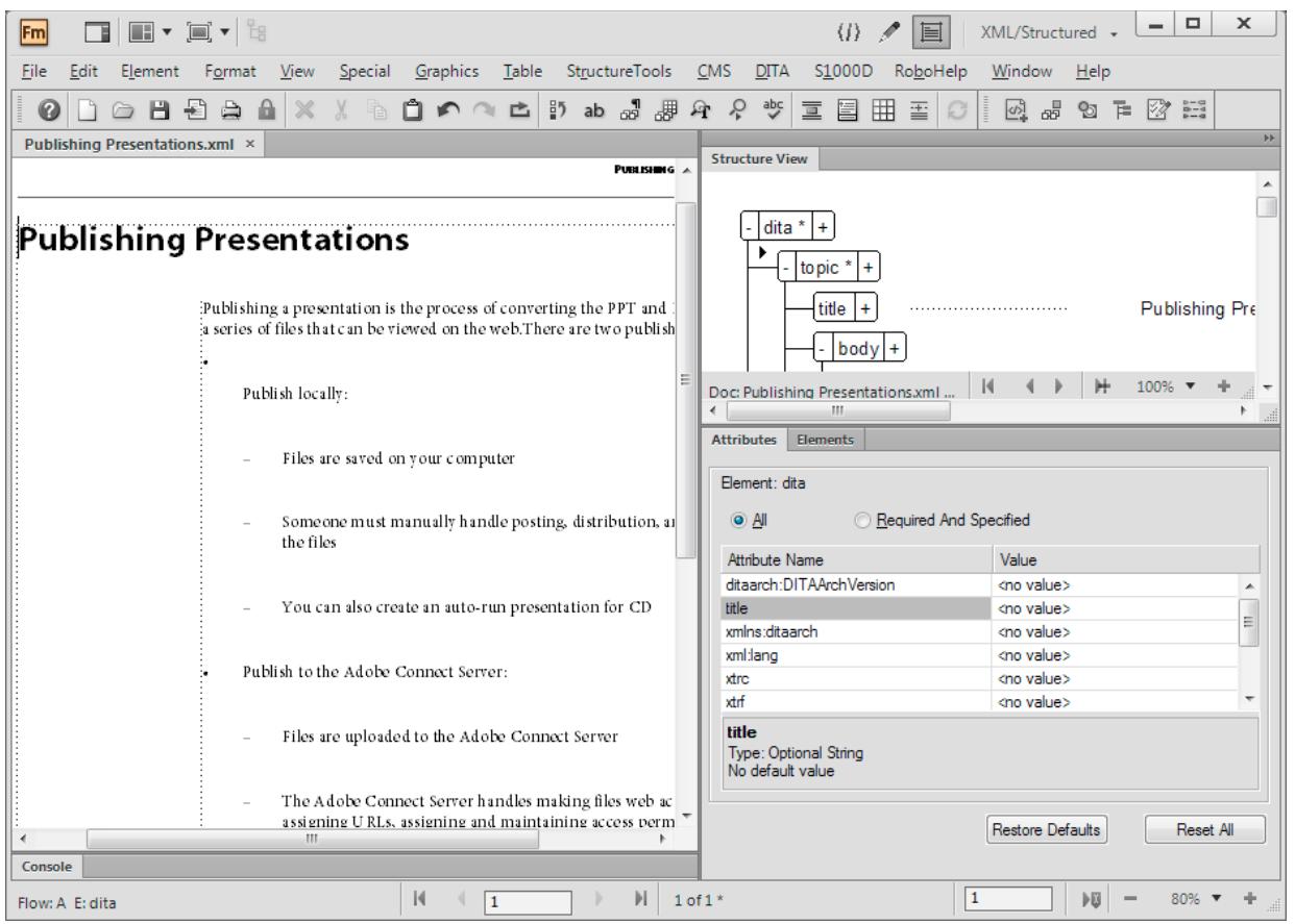 ADOBE FRAMEMAKER 11 - Vue WYSIWYG - 2