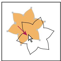 ADOBE ILLUSTRATOR CS4 - Sélection d'objets avec fond - 2