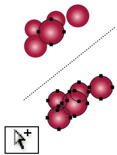 ADOBE ILLUSTRATOR CS4 - Collection d'outils de sélection - 5