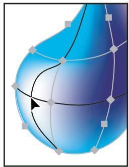 ADOBE ILLUSTRATOR CS4 - Modification d'objets de filet - 2