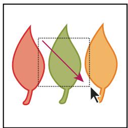 ADOBE ILLUSTRATOR CS4 - Sélection d'objets à l'aide de l'outil Sélection - 1