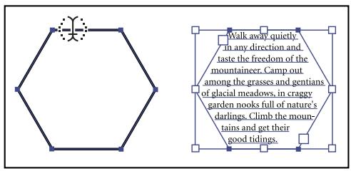 ADOBE ILLUSTRATOR CS4 - Saisie de texte dans une zone - 2