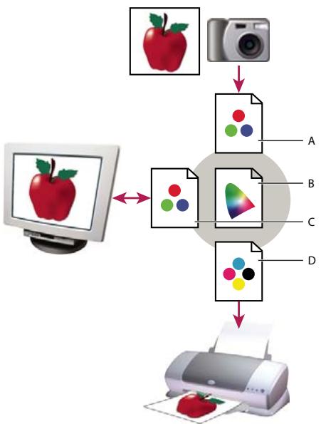 ADOBE ILLUSTRATOR CS4 - A propos des profils colorimétriques - 1