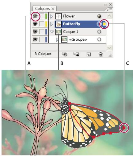 ADOBE ILLUSTRATOR CS4 - Présentation du panneau Calques - 2
