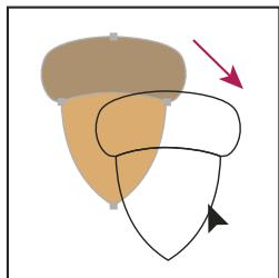 ADOBE ILLUSTRATOR CS4 - Déplacement d'objets - 2