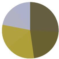 ADOBE ILLUSTRATOR CS4 - Epreuve-écran pour la dyschromatopsie (Photoshop et Illustrator) - 2