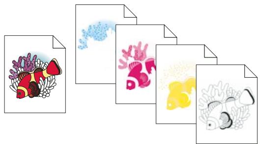 ADOBE ILLUSTRATOR CS4 - A propos des séparations de couleurs - 1