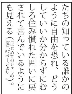 ADOBE ILLUSTRATOR CS4 - Utilisation de l'option Warichu - 1