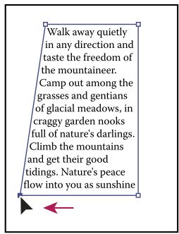 ADOBE ILLUSTRATOR CS4 - Redimensionnement d'une zone de texte - 5