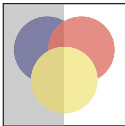 ADOBE ILLUSTRATOR CS4 - Modification de l'opacité de l'illustration - 2