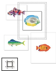 ADOBE ILLUSTRATOR CS4 - Collection d'outils de sélection - 9