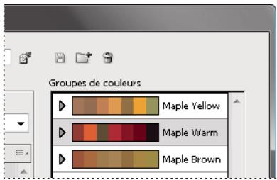 ADOBE ILLUSTRATOR CS4 - Attribution de couleurs à votre illustration - 4