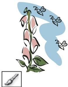 ADOBE ILLUSTRATOR CS4 - Collection d'outils de peinture - 1