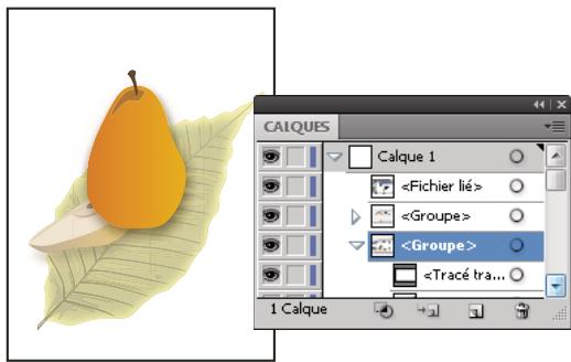 ADOBE ILLUSTRATOR CS4 - Isolation d'une illustration à éditer - 2