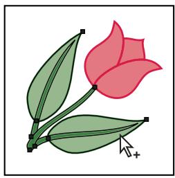 ADOBE ILLUSTRATOR CS4 - Sélection d'objets ou de groupes à l'aide de l'outil Sélection directe progressive - 3