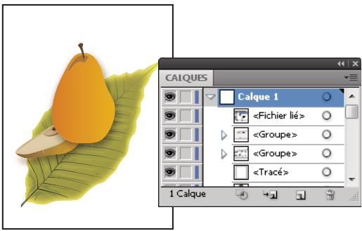 ADOBE ILLUSTRATOR CS4 - Isolation d'une illustration à éditer - 1