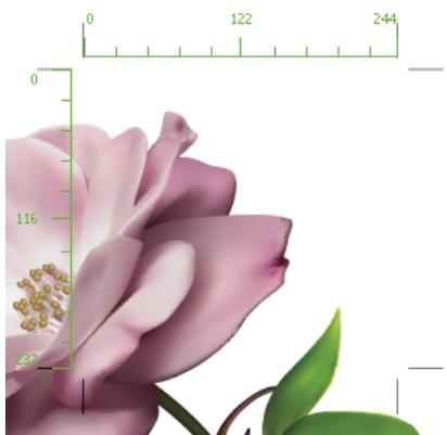 ADOBE ILLUSTRATOR CS4 - Affichage des règles, du repère de centre, des réticules ou de la zone sécurisée du plan de travail - 1