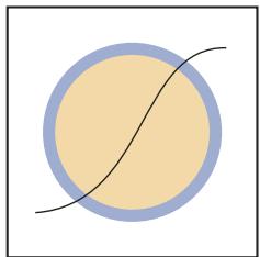ADOBE ILLUSTRATOR CS4 - A propos de la peinture dynamique - 2