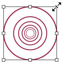 ADOBE ILLUSTRATOR CS4 - Collection d'outils de remodelage - 5