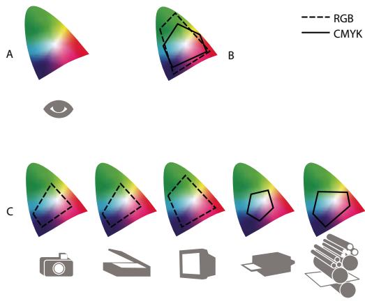 ADOBE ILLUSTRATOR CS4 - Pourquoi les couleurs ne concordent pas toujours? - 1