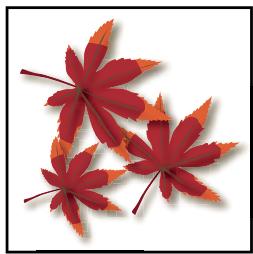 ADOBE ILLUSTRATOR CS4 - Attribution de couleurs à votre illustration - 2