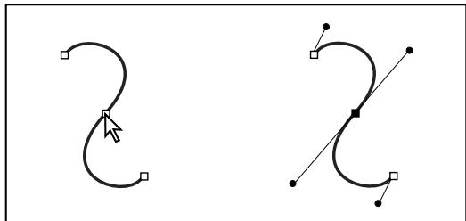 ADOBE ILLUSTRATOR CS4 - A propos des lignes directrices et des points directeurs - 1