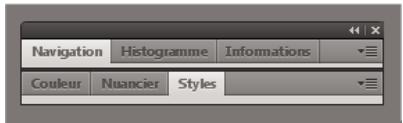ADOBE ILLUSTRATOR CS4 - Empilage de panneaux flottants - 1