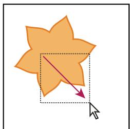 ADOBE ILLUSTRATOR CS4 - Sélection d'objets avec fond - 3