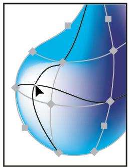 ADOBE ILLUSTRATOR CS4 - Modification d'objets de filet - 1