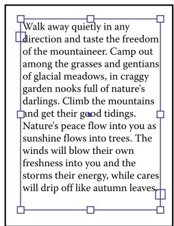 ADOBE ILLUSTRATOR CS4 - Redimensionnement d'une zone de texte - 2
