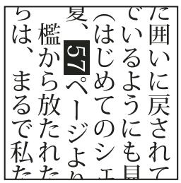 ADOBE ILLUSTRATOR CS4 - Application d'une rotation aux caractères demi-chasse dans un texte vertical - 1