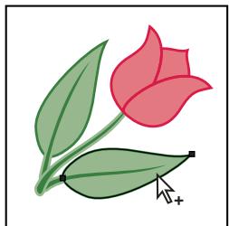 ADOBE ILLUSTRATOR CS4 - Sélection d'objets ou de groupes à l'aide de l'outil Sélection directe progressive - 1