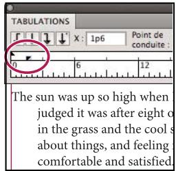 ADOBE ILLUSTRATOR CS4 - Création d'un retrait négatif - 2