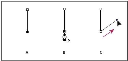 ADOBE ILLUSTRATOR CS4 - Dessen de droites suivies de courbes - 1