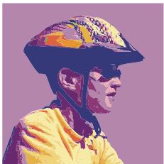 ADOBE ILLUSTRATOR CS4 - Vectorisation d'illustrations - 2