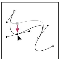 ADOBE ILLUSTRATOR CS4 - Réglage de la position ou de la forme des segments courbes - 3